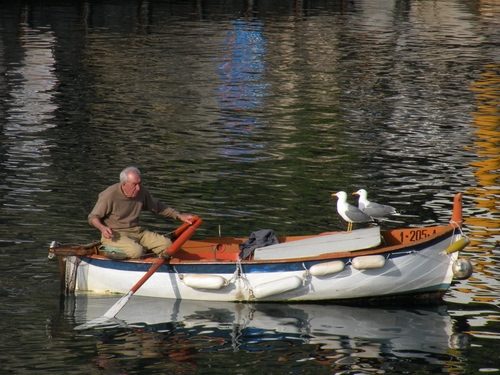 Immagine con barca, gabbiani, uomo, remi, mare, acqua, pescatore, riflessi, remo, due, riflesso