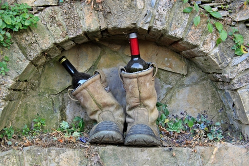 Immagine con bottiglie, arco, scarpe, foglie, scarponi, due, nicchia, stivali, rosso, muro