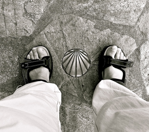 Immagine con sandali, piedi, dita, conchiglia, pantaloni, scarpe, due, bianconero