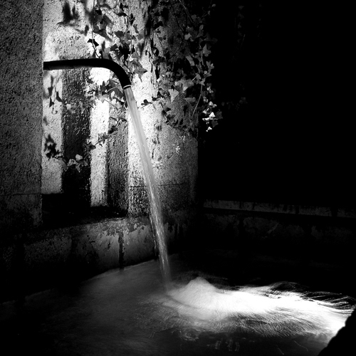 Immagine con acqua, fontana, nero, bianconero, cannella, notte, foglie, edera, bianco, getto