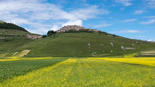 Immagine con collina, nuvole, paese, verde, giallo, cielo, fiori, prati, panorama, campi, campagna, prato