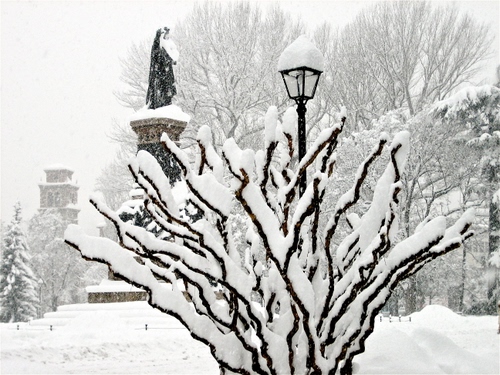 Immagine con neve, lampione, inverno, bianco, rami, albero, monumento, statua, torre, bianconero