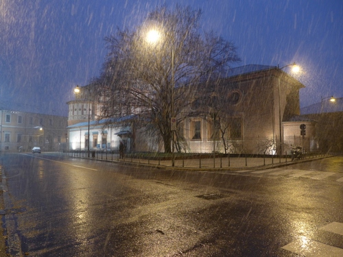 Immagine con pioggia, lampioni, albero, luci, piazza, notte, sera, strada, maltempo, case