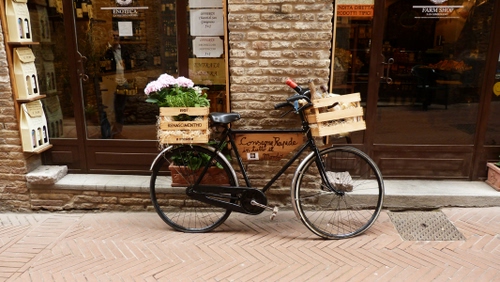 Immagine con bicicletta, fiori, negozio, cassette, vetrine, casse, vino, vini, vetrina, bici