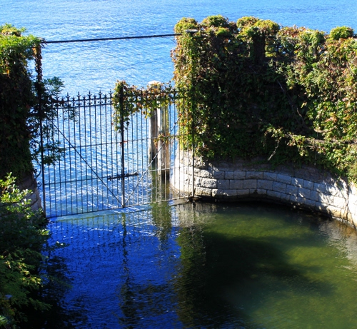 Immagine con cancello, acqua, lago, mare, piante, foglie, verde, riflessi, muro, riflesso
