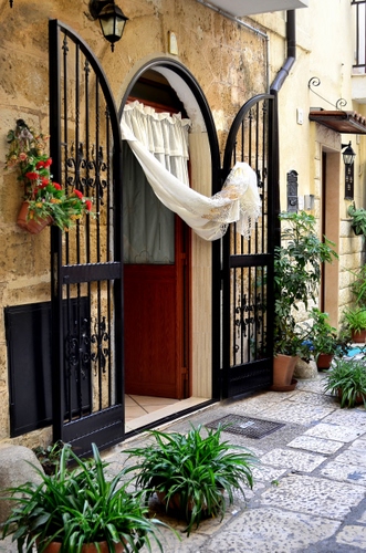 Immagine con cancello, porta, tenda, piante, vasi, lampione, verde, fiori