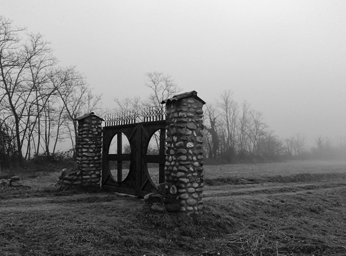 Immagine con cancello, bianconero, nebbia, alberi, strada, colonne, pietre, campagna, foschia