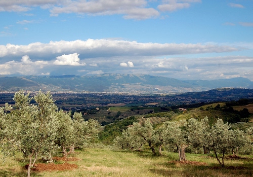 Immagine con panorama, nuvole, ulivi, alberi, montagne, campagna, olivi, verde, paesaggio, cielo, colline, prato, pianura