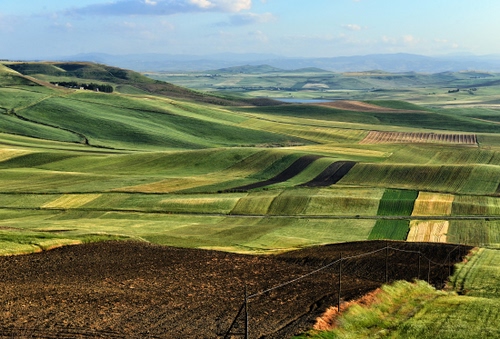 Immagine con verde, campi, panorama, cielo, coltivazioni, colline, paesaggio, terra, marrone, campo, nuvole, giallo, erba, prato, recinzione, colori
