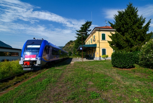 Immagine con treno, stazione, alberi, blu, binari, cielo, erba, verde, rotaie, pensilina, finestre, vagoni, prato, ferrovia