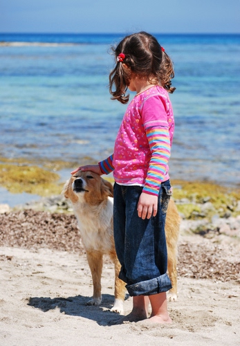 Immagine con mare, cane, bambina, spiaggia, sabbia, carezza, rosa