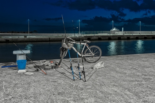 Immagine con canne, bicicletta, notte, cielo, acqua, canale, lampioni, secchio, nuvole, notturno, mare, pesca, riflessi, bici, blu, pescare, pontile