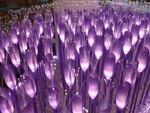 Immagine con fiori, viola, luci, expo, pistilli, bianco, petali, padiglione, milano