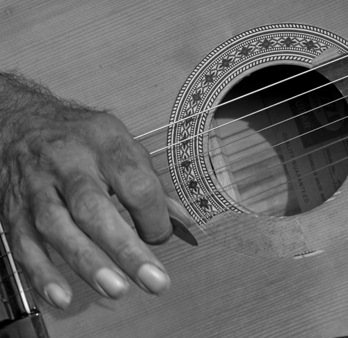 Immagine con chitarra, mano, corde, musica, bianconero, strumento, dita
