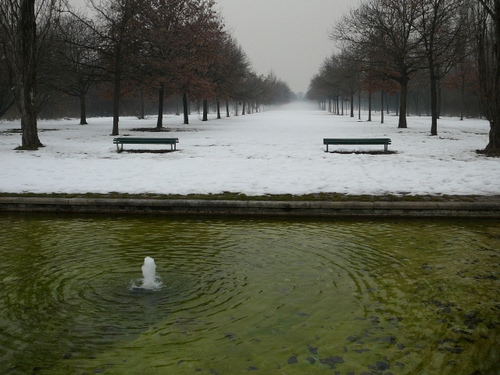 Immagine con panchine, neve, alberi, fontana, acqua, bianco, inverno, due