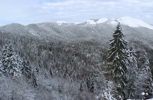 Immagine con neve, alberi, montagna, montagne, nuvole, bosco, inverno, cielo, abeti, panorama, pini, monti, bianco