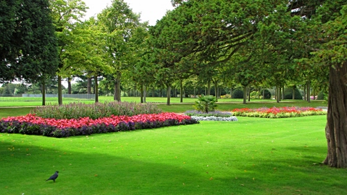 Immagine con aiuole, fiori, alberi, prato, uccello, parco, erba, verde, giardino, aiuola