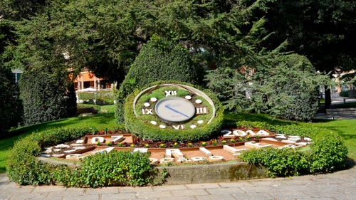 Immagine con orologio, verde, aiuola, alberi, numeri, ore, aiuole, siepe, lancetta, lancette