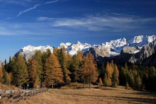 Immagine con neve, alberi, cielo, montagna, montagne, bosco
