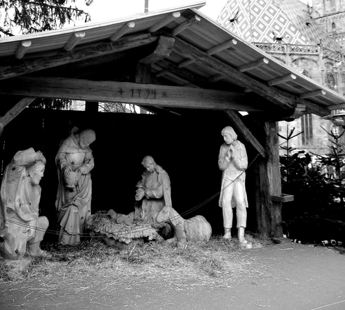 Immagine con presepe, capanna, pecora, bianconero, natale, statue, madonna