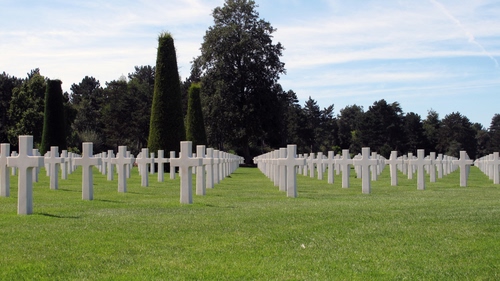 Immagine con cimitero, croci, verde, alberi, bianco, prato, erba