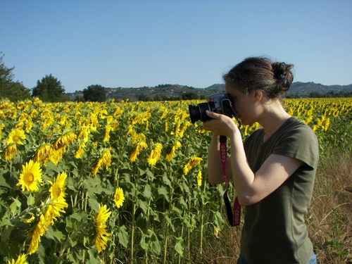 Immagine con girasoli, fotografa, campo, giallo, ragazza, fiori, donna