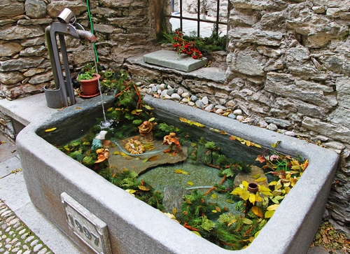 Immagine con fontana, acqua, foglie, muro, finestra, vasi, pietra, anno, rubinetto, data, vasca, numeri, fiori, piante