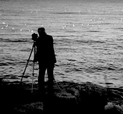 Immagine con mare, fotografo, cavalletto, controluce, bianconero, uomo, rocce, gabbiani