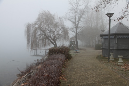 Immagine con nebbia, alberi, acqua, lampione, inverno, salice, lampioni, fiume, foschia, edicola, piante, chiosco, pontile, parco, strada, lago, rami