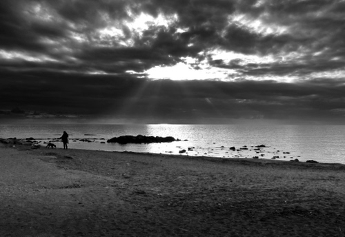 Immagine con mare, nuvole, spiaggia, bianconero, cielo, cane, persona, raggi, sabbia, scoglio, controluce, riflesso