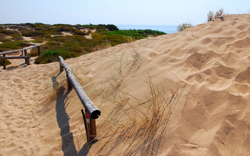 Immagine con sabbia, mare, dune, duna, cespugli, spiaggia, erba, staccionata, pali, legno, cielo, piante