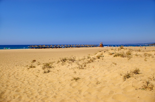 Immagine con mare, sabbia, spiaggia, ombrelloni, cielo, erba, giallo