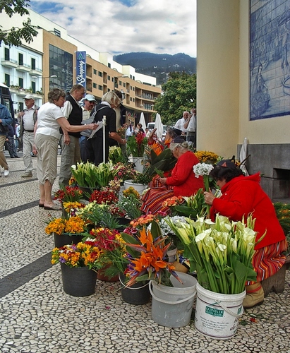 Immagine con fiori, rosso, colori, vasi, persone, secchi, bianco, strada, case, calle, arancione, fioraia, fiorista, verde, piazza, donne, via, palazzi, nuvole, vendita, mercato, finestre, sassi