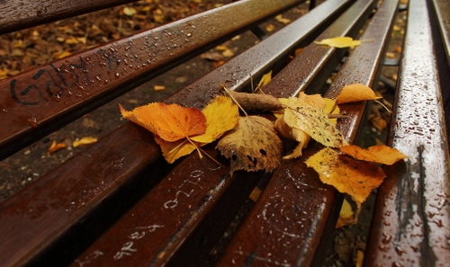 Immagine con panchina, foglie, autunno, pioggia, gocce, giallo