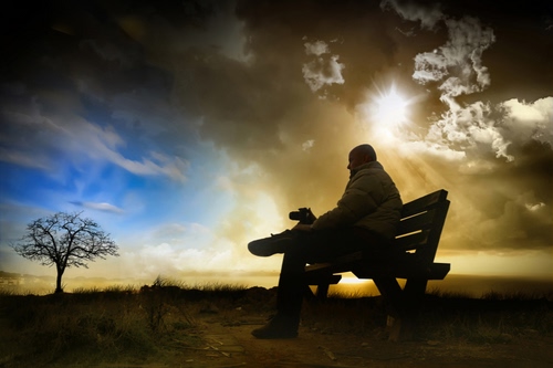 Immagine con panchina, albero, nuvole, fotografo, sole, uomo, seduto, tramonto
