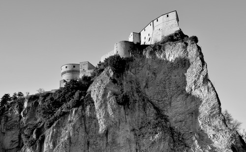 Immagine con castello, roccia, bianconero, rocca, alberi, fortezza, torre, cespugli, torri