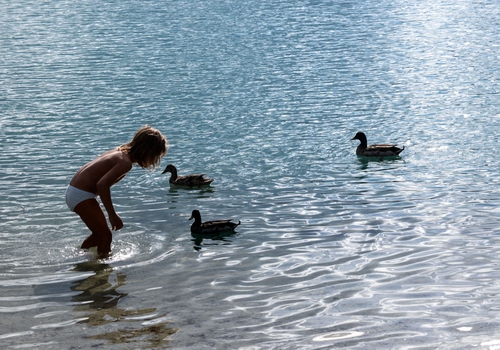 Immagine con acqua, anatre, bambino, azzurro, tre, bambina, lago, mare, papere, oche, riflesso, fiume, riflessi, gioco