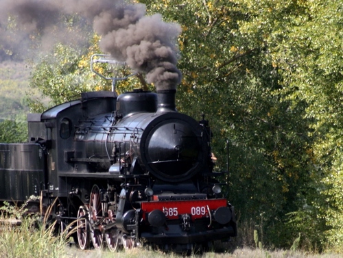 Immagine con treno, fumo, alberi, numeri, nero, locomotiva, verde, rosso, vapore, ruote, antico, respingenti