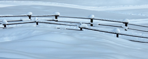 Immagine con neve, bianco, staccionata, inverno, legno, staccionate, steccati, steccato, freddo, pali