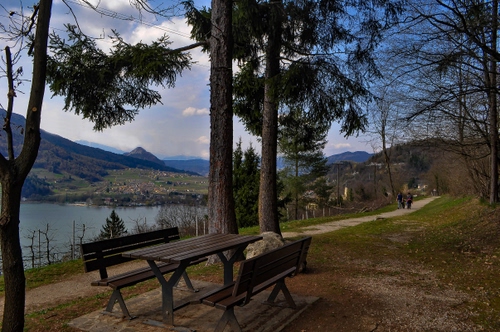 Immagine con tavolo, lago, alberi, sentiero, panchine, verde, persone, acqua, cielo, montagne, panchina, strada, nuvole, legno, paesaggio, erba, tronchi, azzurro, monti, rami