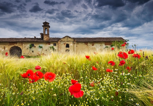 Immagine con papaveri, fiori, nuvole, grano, cascina, rosso, cielo, campo, spighe, campanile, verde, arco, portone, rudere