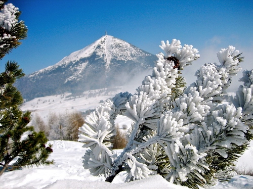 Immagine con neve, montagna, bianco, inverno, freddo, abete, gelo, cielo, pino