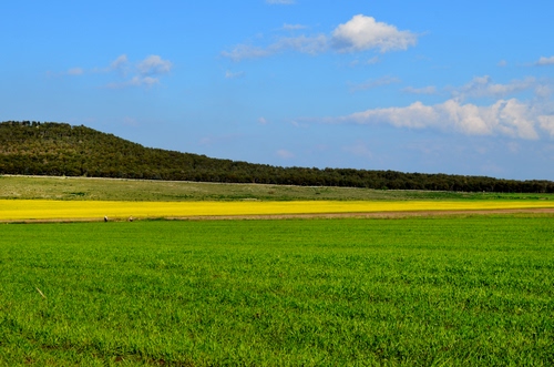 Immagine con verde, nuvole, giallo, cielo, collina, erba, campagna, colori, azzurro, alberi, prato, fiori, strati, bianco, campi, campo, panorama, paesaggio