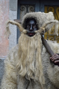 barba, maschera, baffi, nero, pelliccia, carnevale, bianco