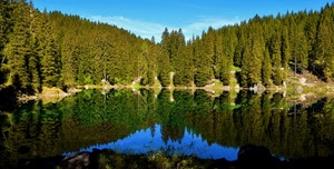 lago, riflesso, alberi, verde, montagna, azzurro, cielo, bosco