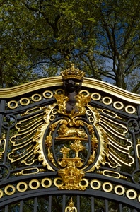 stemma, alberi, corona, cancello, oro, leone, verde, ferro, cerchi, rami, dorato, foglie, cielo