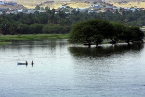 alberi, barca, acqua, lago, fiume, verde, isola, pescatori, case