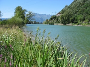 fiume, acqua, erba, ponte, verde, natura, alberi, riva, montagna, paesaggio, fiori