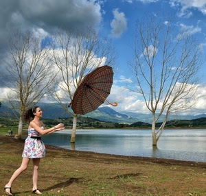alberi, ombrello, lago, ragazza, donna, vento, acqua, cielo, nuvole