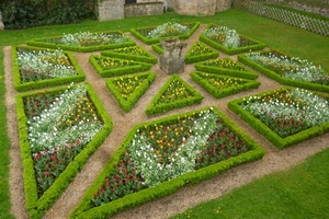 giardino, fiori, aiuole, verde, prato, triangoli, siepi